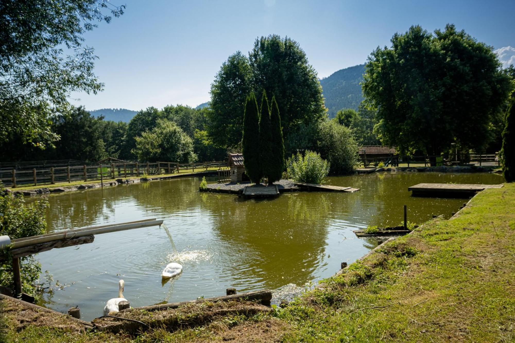 Logis Hotel Le Regal & Spa Saint-Die-des-Vosges Екстериор снимка